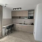 Cat Deluxe 4*